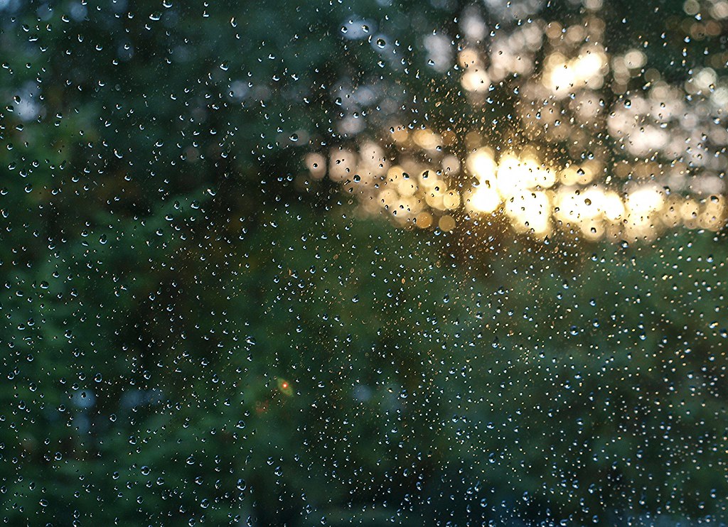 Regentropfen | OLYMPUS DIGITAL CAMERA | Reinhard Höfkes | Flickr