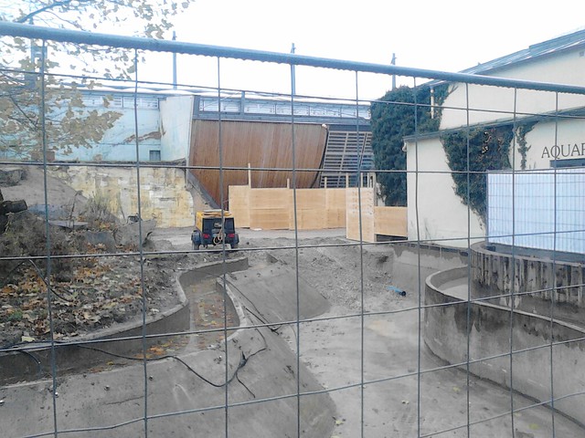 Zoo Munich: Construction work on the outdoor enclosures