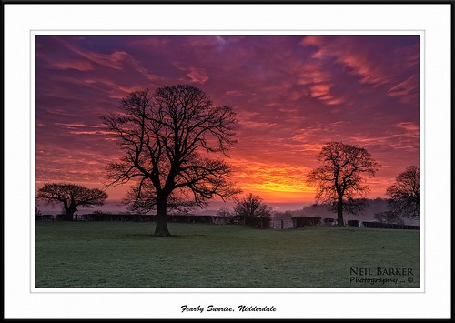 trees field sunrise nikon frost ngc northyorkshire nidderdale yorkshiredales masham fearby neilbarkerphotography