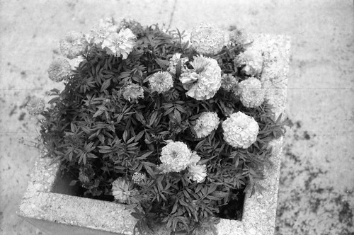 Untitled | by theknark