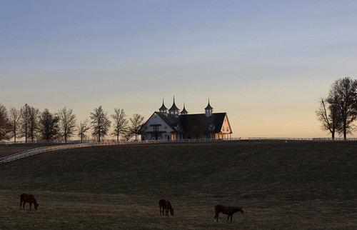 sunset horses barn bluegrass farm lexingtonkentucky horsefarm