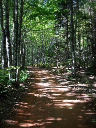 forest golf woods path pei millriver uploaded:by=flickrmobile flickriosapp:filter=nofilter roddmillrivergolfcourse