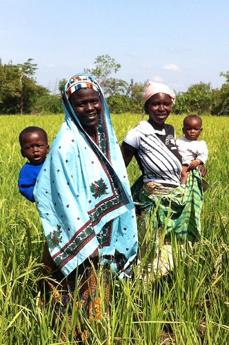africa rural women rice farmers ghana agriculture womenatwork
