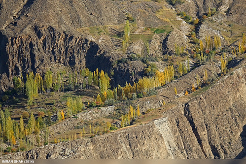 trees pakistan canon landscape geotagged rocks tags location elements vegetation greenery tele hunza nasirabad gilgitbaltistan canoneos650d imranshah canonefs55250mmf456isii gilgit2