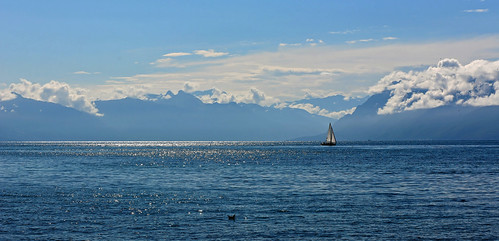panorama lac bateau léman paysages morges bleus voiliers brillance
