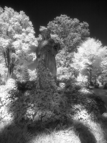 blackandwhite bw film monument monochrome cemetery grave graveyard statue mi landscape ir minolta michigan surreal hc110 infrared epson vivitar v300 srt101 tricities efke saginaw 19mm f38 dilutionb ir820