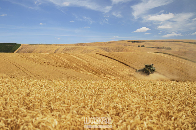 Harvest 2015 - South Moravia Landscape