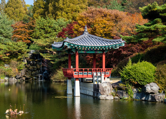 Fall Colors-National Cemetary-Daejeon-South Korea