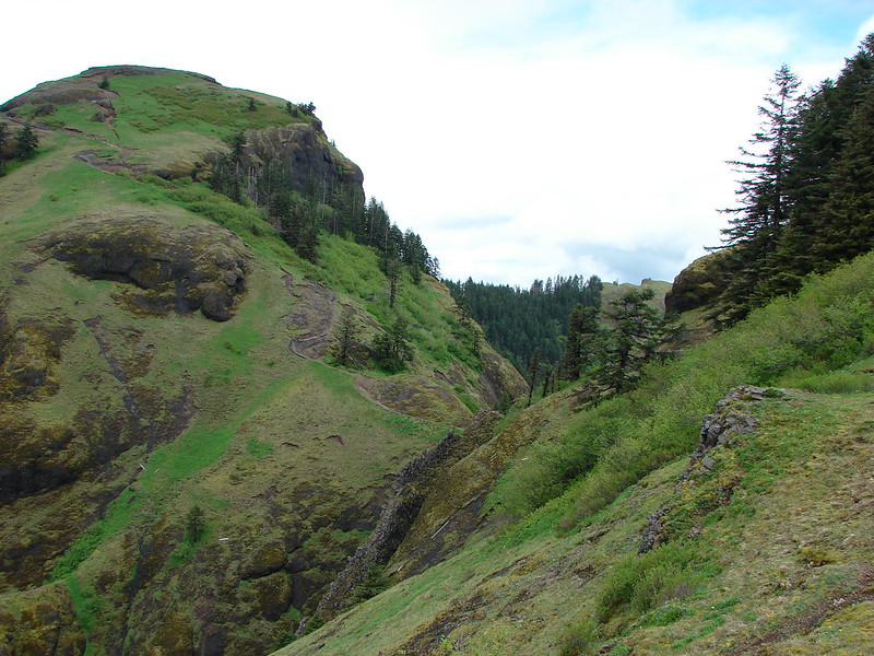 Saddle Mountain Summit Trail