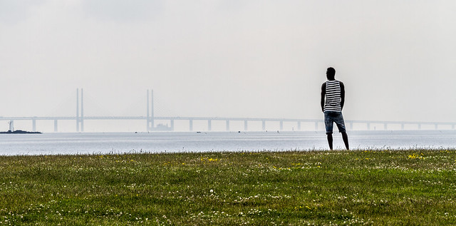 Man watching the Öresund Bridge