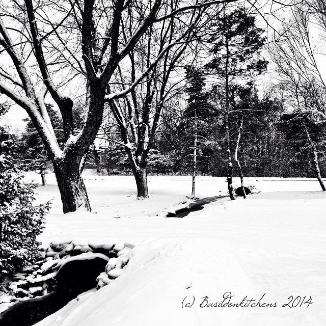 18/1/2014 - grateful {I'm very grateful to be living in such a beautiful place} #photoaday #grateful #black #white #winter #snow #princeedwardcounty