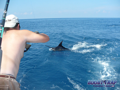 Booby-Trap-Fishing-Team-Swordfishing | by boobytrapfishingteam