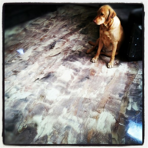 Custom Epoxy Flooring | by countertopepoxy.com