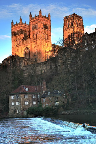 trees water river durham wear cathederal