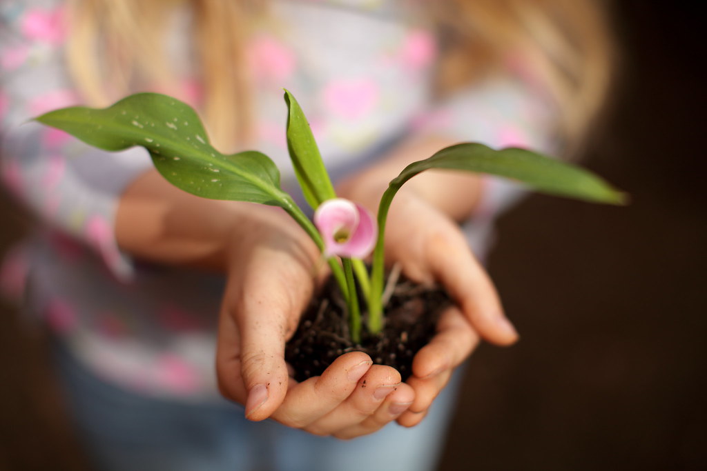 Professional Online Counselling: Strengthening Family Bonds