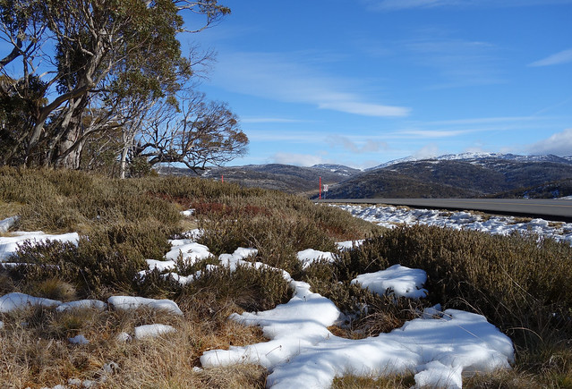 Road to Perisher, Dainers Gap, winter 2013