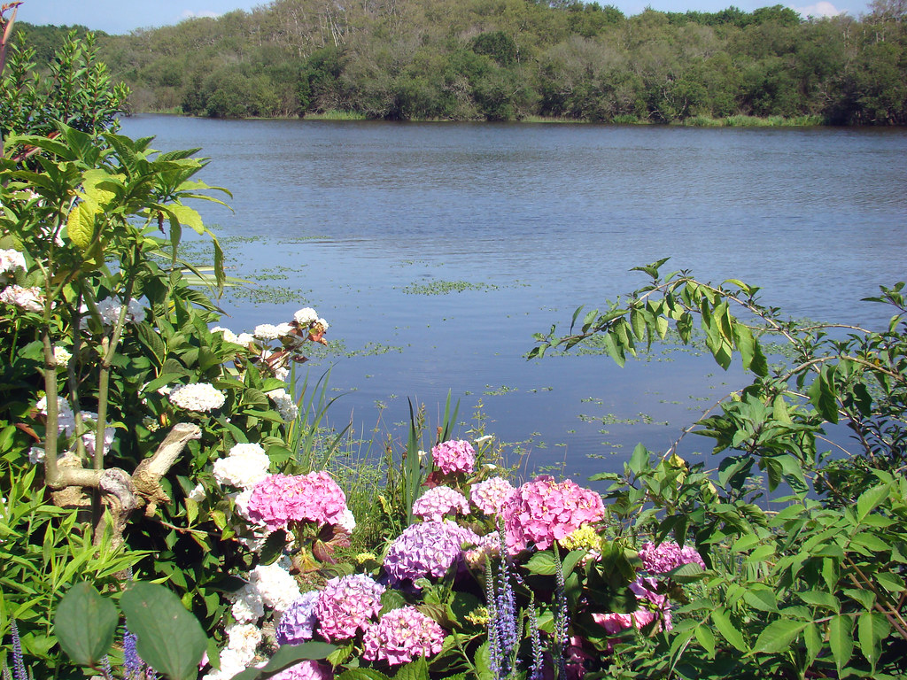 Lac aux rives fleuries.