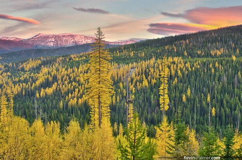pink blue autumn trees sunset red sky cloud mountain color green fall yellow forest evening october montana colorful view scenic snowcapped vista larch lenticular bitterrootmountains lolonationalforest lolopeak tamron1750mmf28 elkmeadowsroad pentaxk5
