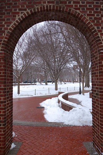 Archway to Snowy Green