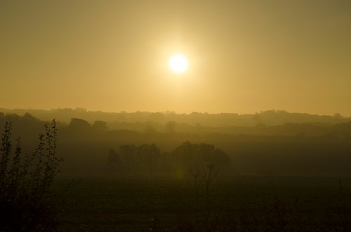 morning trees plants sun mist english silhouette yellow sunrise countryside earlymorning silhouettes fields layers