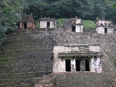Ruinas - Bonampak, Reserva Montes Azules, Lacandonas, Chiapas, Mexico
