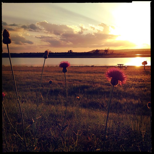 Warmth by bethbikes33, flowers sunrise waterscape landscapr iphoneography hipstamatic danapeakpark blankonoirfilm lucasab2l