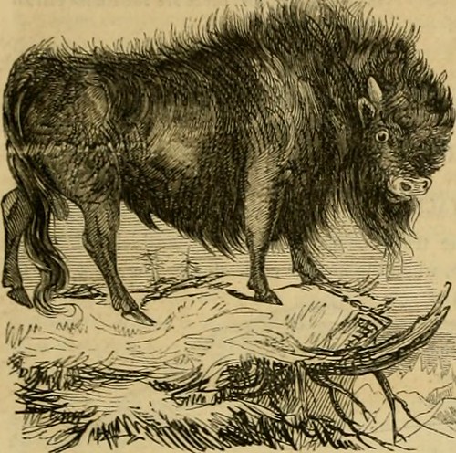 Paternoster