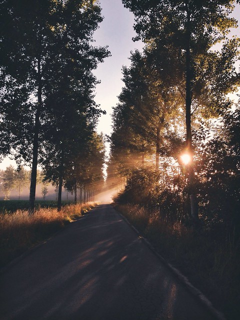 Early morning rides like these are always rewarding…