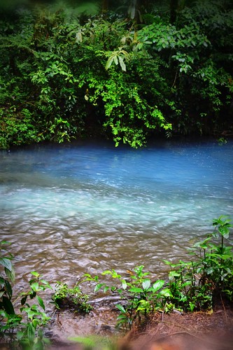 azul rainforest costarica natural puravida tenorio volcan parquenacional rioceleste