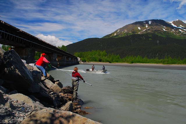 Alaska Twenty Mile River