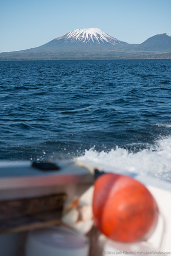 travel blue orange usa white fish seascape water animal animals vertical alaska america boats boat us fishing ship unitedstates vibrant wildlife ships unitedstatesofamerica vessel landmark boating northamerica recreation sitka creatures creature vessels zoology stockphotography angler angling outdoorrecreation sportsrecreation sitkasound geologicalfeature mountedgecumbe undomesticatedanimals joshwhalenphotography whalenphotography joshwhalencom 2014seattlealaska