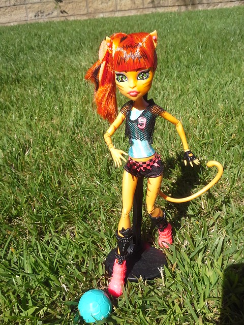 Got Ghoul Sports Clawdeen & Toralei today...decided to take some pics outside with the new girls!
