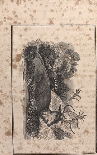 Paternoster