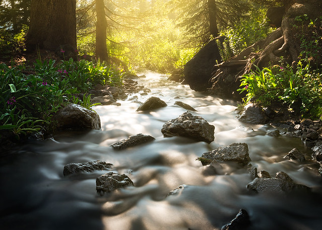 Morning Stream | John Tennant | Flickr