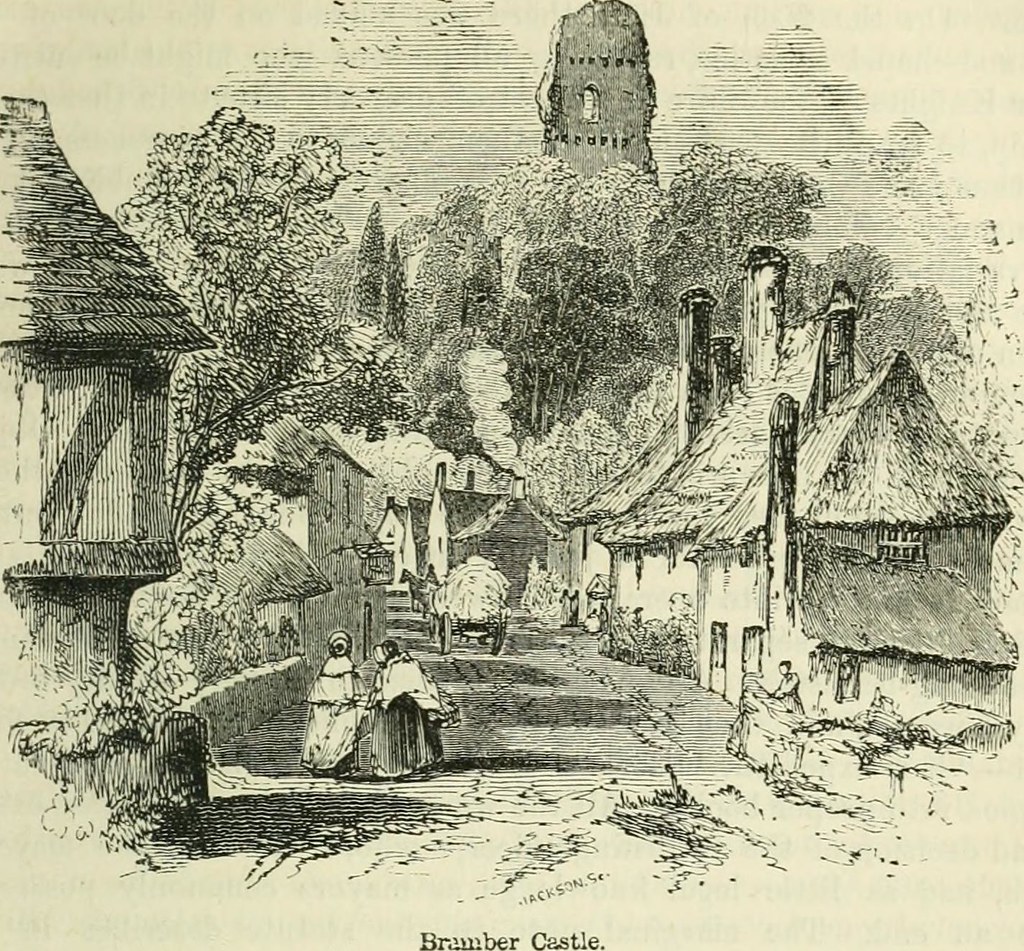 Image from page 326 of 