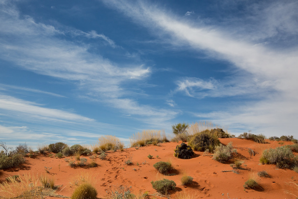 Пустыня гибсона австралия. Пустыня Гибсона в Австралии. Большая Песчаная пустыня пустыня Гибсона. Gibson Desert Австралия.