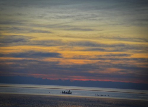 morning sky pelicans water clouds sunrise boat fishermen mudflats nikond3200 deceptionbay cloudsstormssunsetssunrises