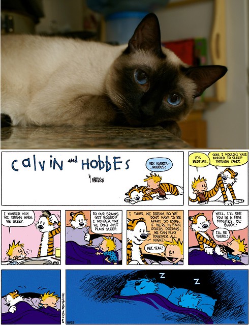 2014_08_19 Hobbes, I'll see you in my dreams...