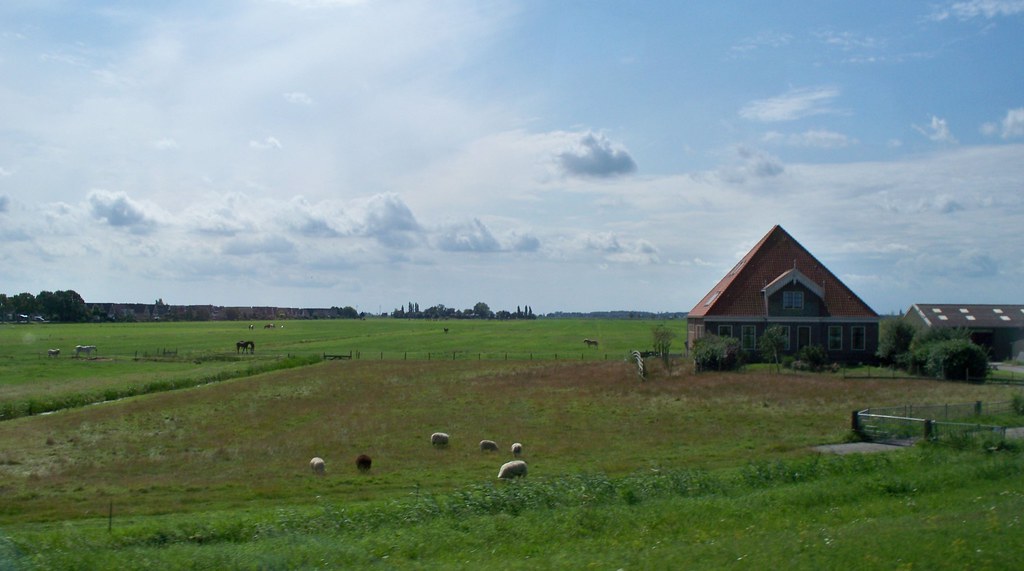 Netherlands bows to EU, will close 11,200 farms