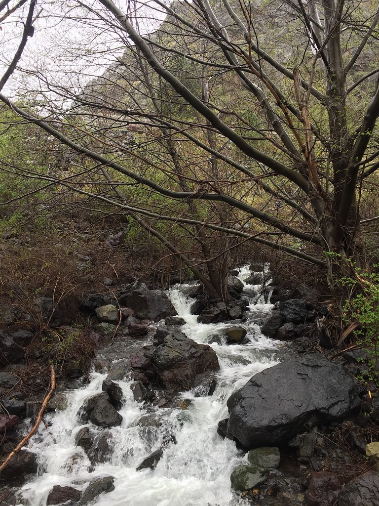 Stud Creek Trail