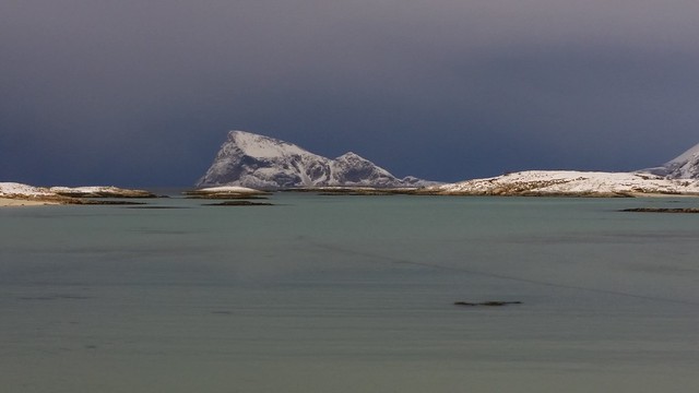 Håja fra Sommarøy