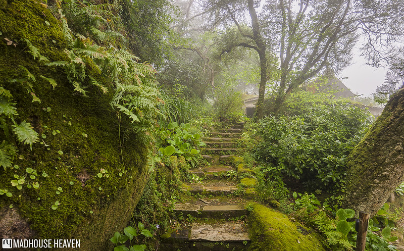 Sintra 02_hdr