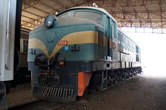 Class DE 3: No. 1314, Railway Museum, Bulawayo, Zimbabwe. 10.10.2016.