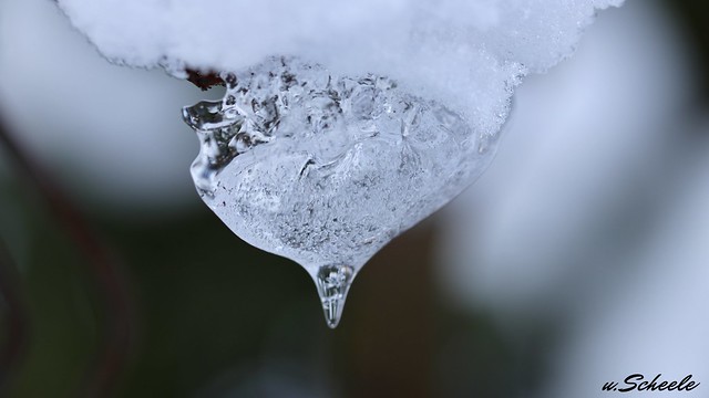 Ice drop - Ice Crystal