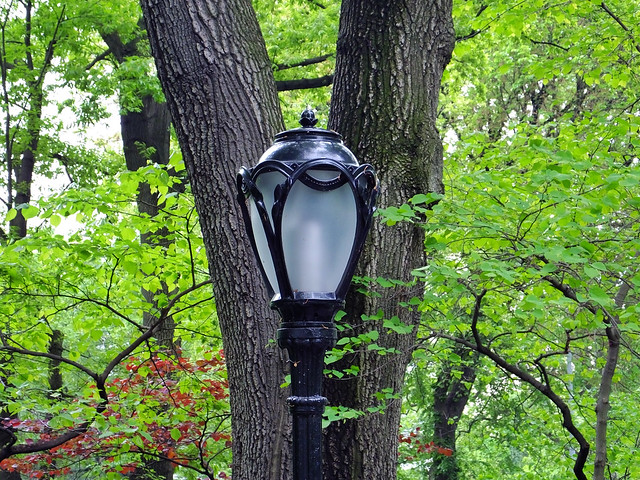 Street Lamp in Central Park (New York, USA. Gustavo Thomas © 2014)
