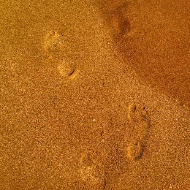 Orme...Footprints ...