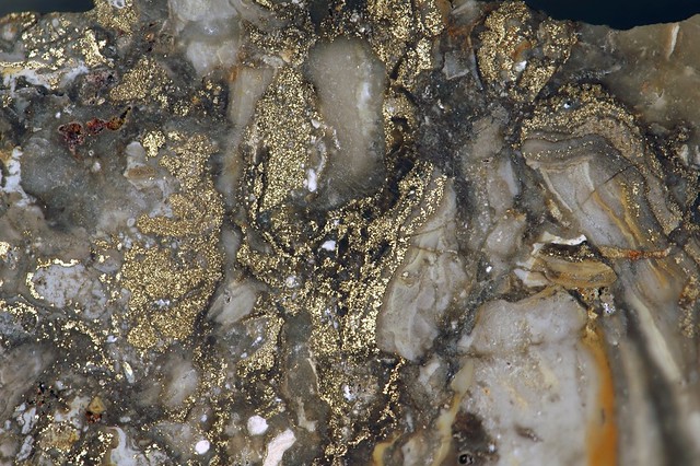 Auriferous brecciated quartz-adularia rhyolite (Sleeper Rhyolite, Miocene; Sleeper Mine, Humboldt County, Nevada, USA) 2
