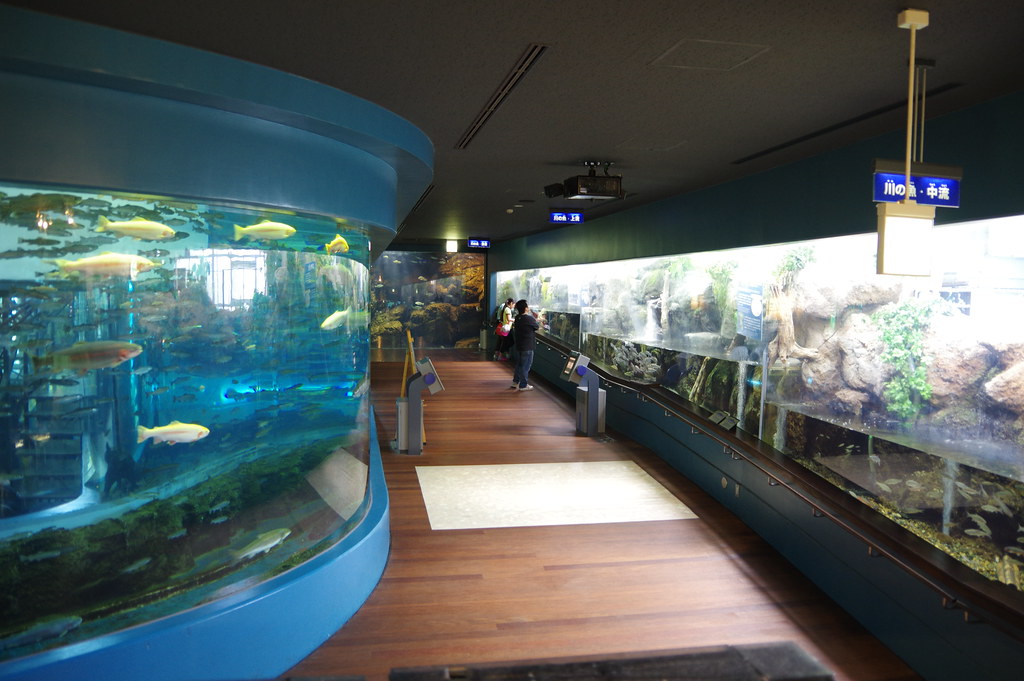 富士湧水の里水族館へ！_010