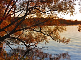 Sunset, Lake Wilcox Park, Richmond Hill, ON