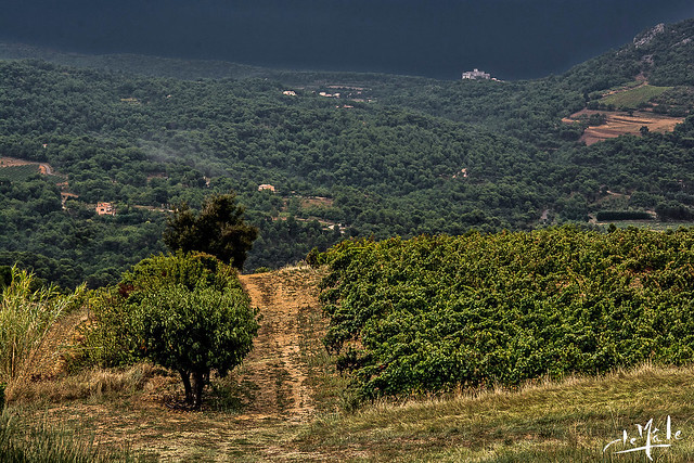 Temps orageux sur Suzette / Stormy weather on Suzette - Provence